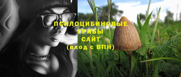 крисы Алексеевка